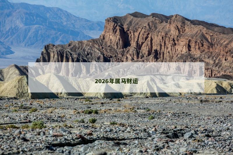 2026年属马财运