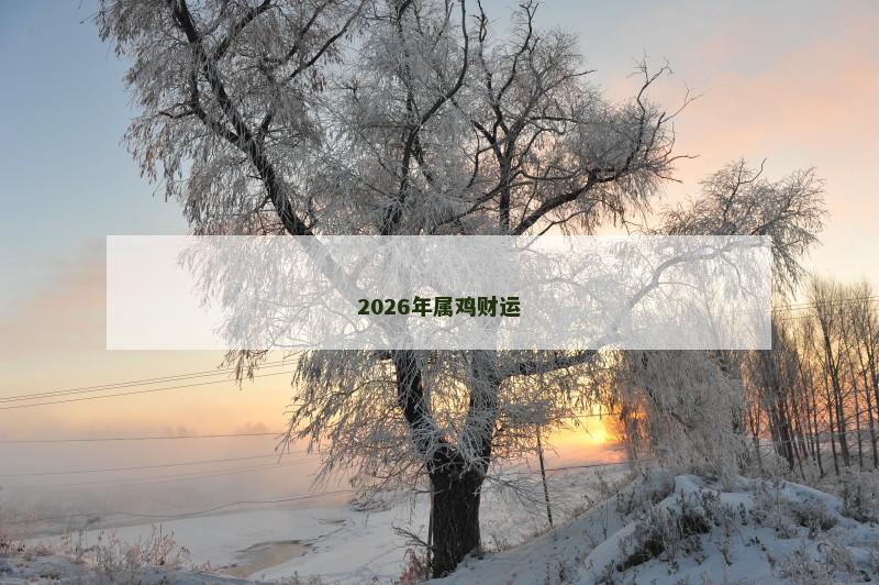 2026年属鸡财运