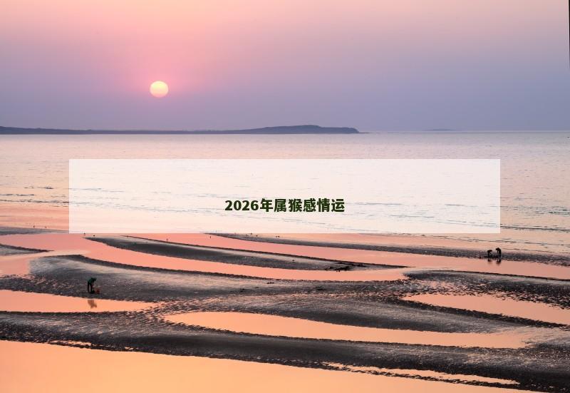 2026年属猴感情运