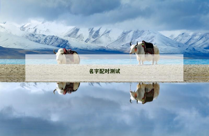 名字配对测试