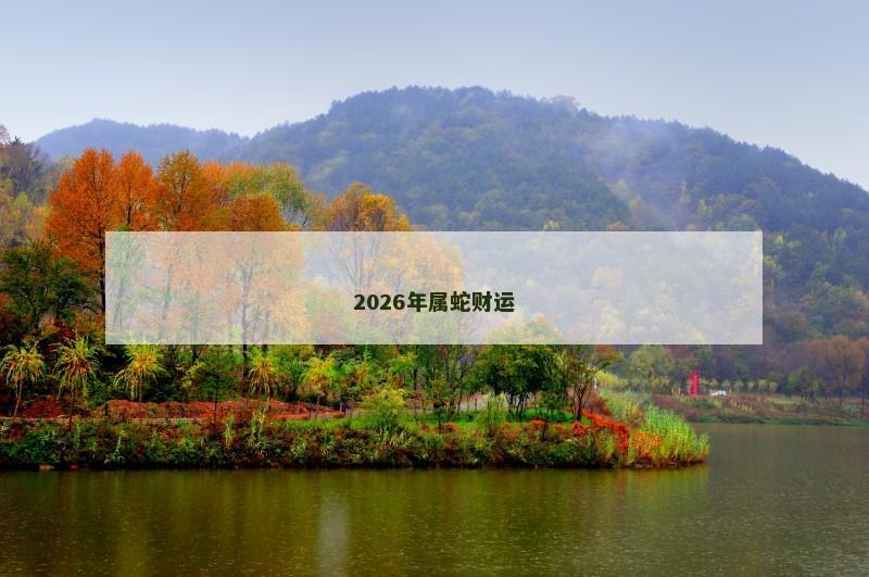 2026年属蛇财运