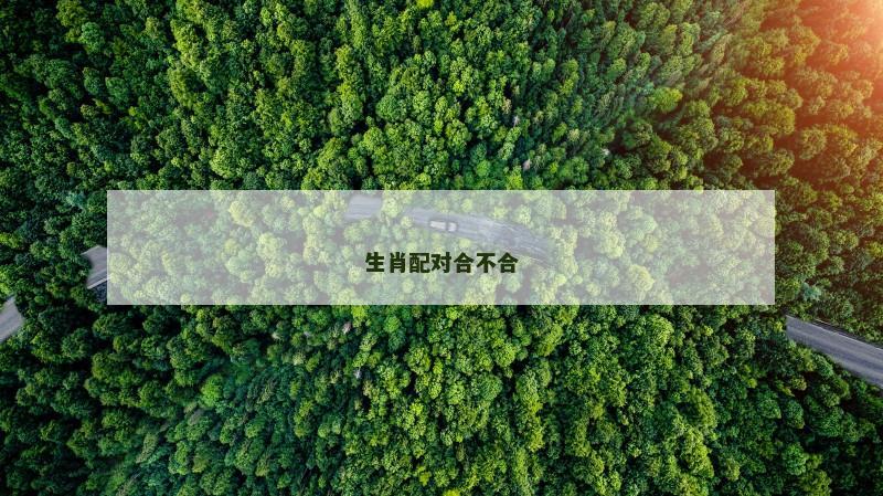 生肖配对合不合