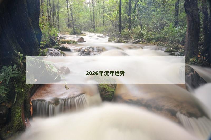2026年流年运势