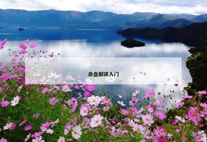 命盘解读入门