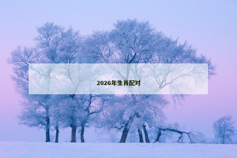2026年生肖配对
