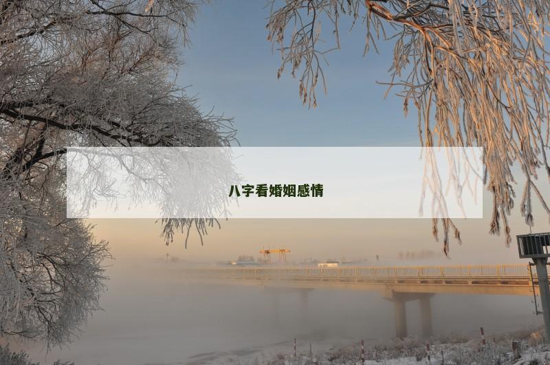 八字看婚姻感情