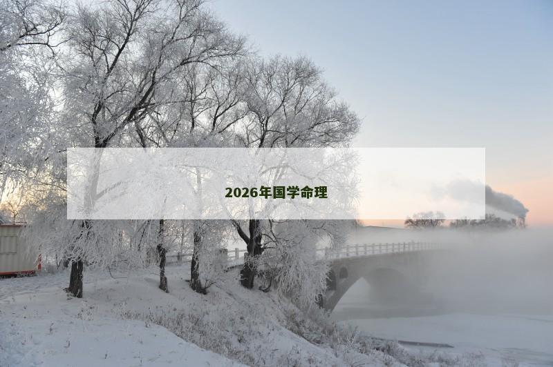 2026年国学命理