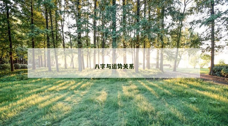 八字与运势关系 八字与运势关系