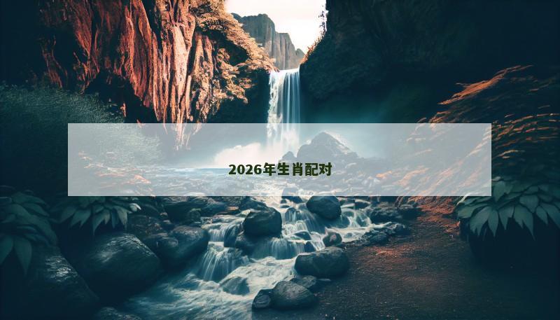 2026年生肖配对