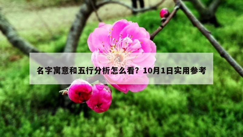名字寓意和五行分析怎么看？10月1日实用参考