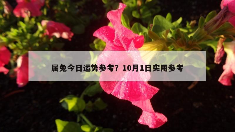 属兔今日运势参考？10月1日实用参考