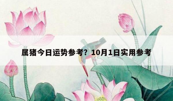 属猪今日运势参考？10月1日实用参考