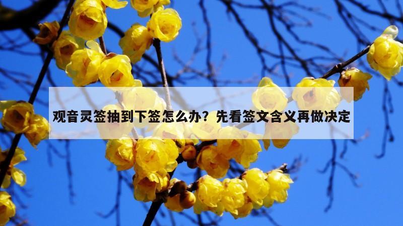 观音灵签抽到下签怎么办？先看签文含义再做决定