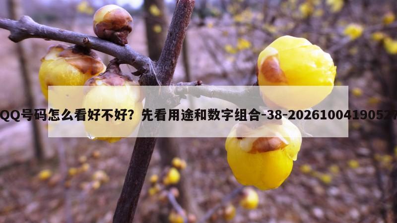 QQ号码怎么看好不好？先看用途和数字组合