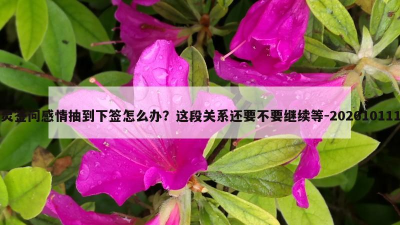 黄大仙灵签问感情抽到下签怎么办？这段关系还要不要继续等
