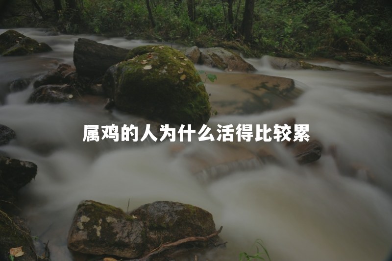 属鸡的人为什么活得比较累？凡事要求高怎么调整
