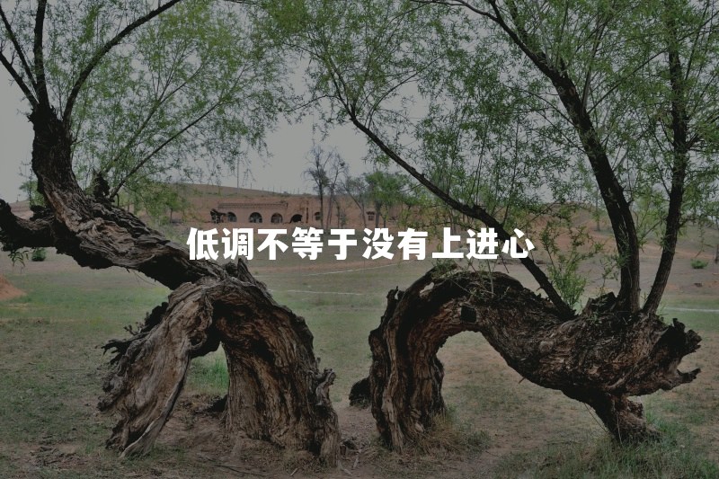 属猪的人为什么总是很低调？不爱争抢是不是没有上进心