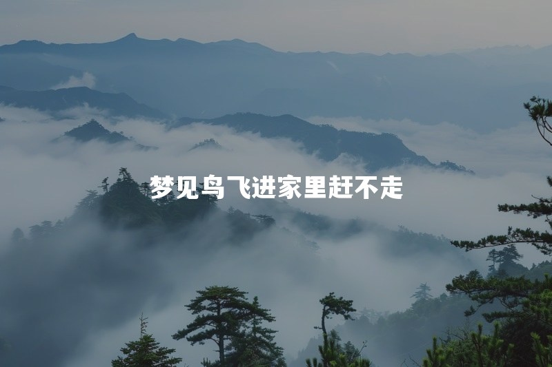 梦见鸟飞进家里赶不走是什么预兆？反复驱赶还不走说明什么