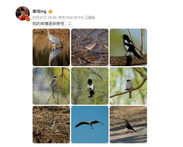 李现又去公园打鸟了 网友：被演员耽误的摄影师